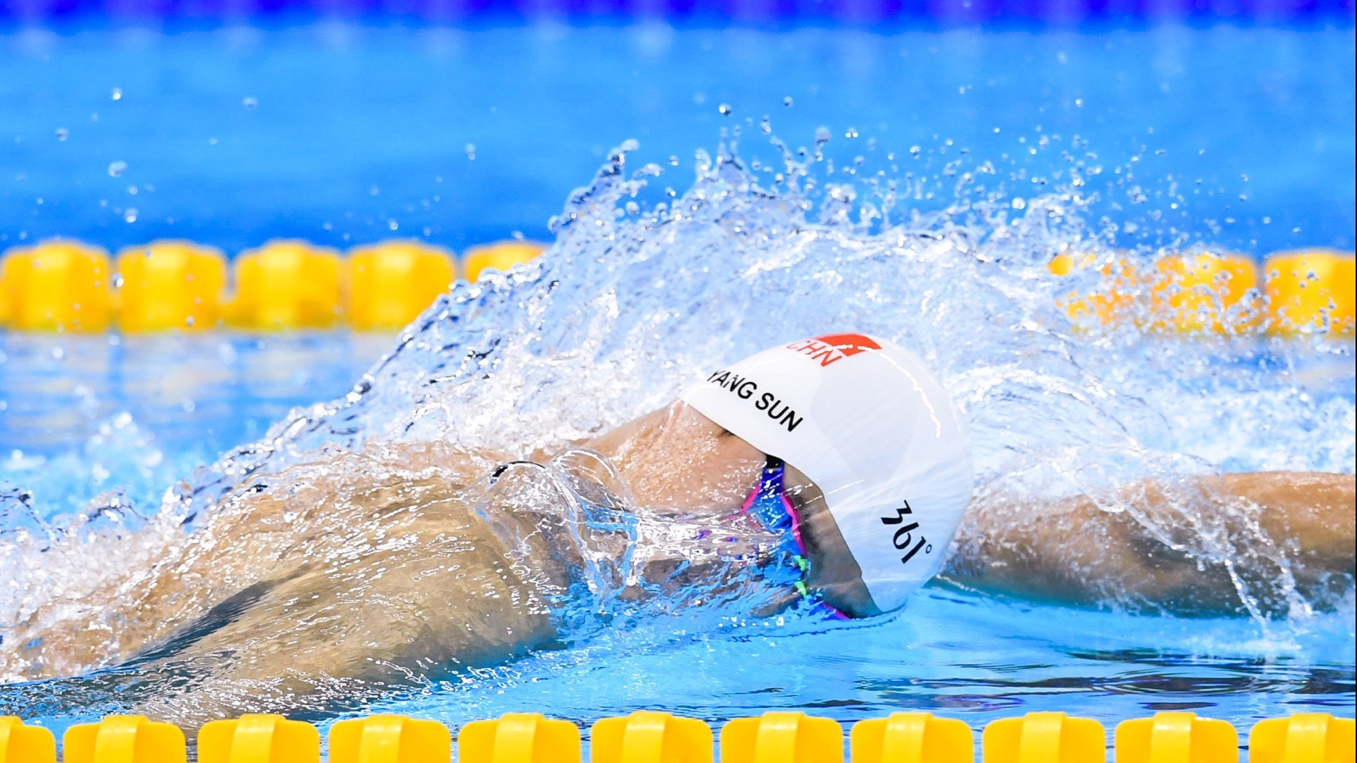 伊朗散打队夺2金3银1铜，展现强劲实力，伊朗武术